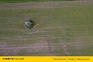 2 ha działki rolnej w zielonogórskiej Zawadzie - 5
