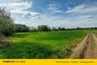 2 ha działki rolnej w zielonogórskiej Zawadzie - 7
