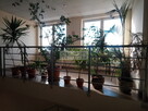 Parking,ochrona,dostęp24h,monitoring,recepcja - 6
