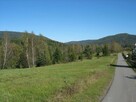 Piękna działka leśna - Bieszczady - 2