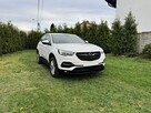 Opel Grandland X 130KM Automat 8-biegowy LED Tempomat Adaptacyjny Asystent Pasa Ruchu - 12