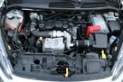 Ford Fiesta krajowy, 1-właściciel, serwisowany,VAN, fa vat,KLIMA - 11