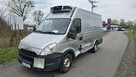 Iveco Daily 35S15 2.3 JTD Chłodnia 145 KM Chłodnia Klima - 6