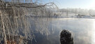Sosnówka, wyjątkowa działka na sprzedaż. - 10