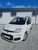 Fiat Panda 1.2 1Wł Salon PL - 2