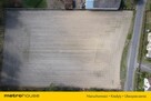 Duża działka z warunkami zabudowy - Nowy Jaromierz - 5