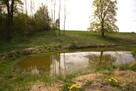 Malownicza działka w Jasionowie, gmina Szypliszki - 14