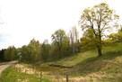Malownicza działka w Jasionowie, gmina Szypliszki - 15