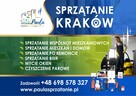 Sprzątanie mieszkań, domów, balkonów po gołębiach - 2