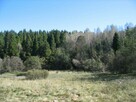 Piękna działka leśna - Bieszczady - 7