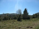 Piękna działka leśna - Bieszczady - 8