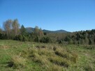 Piękna działka leśna - Bieszczady - 3