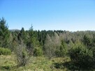 Piękna działka leśna - Bieszczady - 5