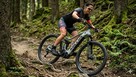 Rower elektryczny eMTB Kellys Theos i50 full - 2