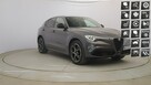 Alfa Romeo Stelvio 2.0 Turbo Veloce Q4! Z polskiego salonu! Faktura VAT!