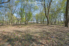Zabytkowy park 1,2 ha | 29 km od Warszawy - 4