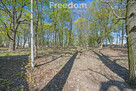 Zabytkowy park 1,2 ha | 29 km od Warszawy - 5