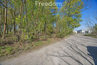 Zabytkowy park 1,2 ha | 29 km od Warszawy - 6