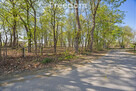 Zabytkowy park 1,2 ha | 29 km od Warszawy - 7