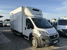 Fiat Ducato chłodnia izoterma kontener winda - 2