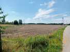 Działka budowlana Huta Kuflewska gm. Cegłów, - 3
