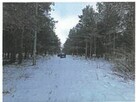 Syndyk sprzeda udział 1/2 w nieruchomości gruntowej BORY - 1