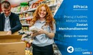 Merchandiser dedykowany - wykładanie towaru - Poznań