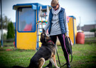 Leo – spokojny, oddany, gotowy na nowy dom - 7