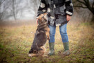 Figa - suczka w typie corgi, wesoła - 2