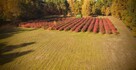 Działka 1,8ha ul. Błońska Nadarzyn | S8 | MPZP - 13