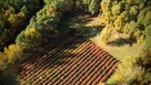 Działka 1,8ha ul. Błońska Nadarzyn | S8 | MPZP - 14