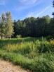 Działka budowlana Pęclin gm. Wiązowna - 5