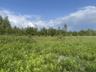 Działka usługowo-mieszkaniowa 999 m²