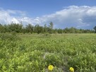 Działka usługowo-mieszkaniowa 999 m² - 2