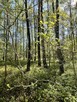 Działki na sprzedaż – Ciemne k. Radzymina - 1