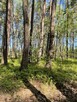 Działki na sprzedaż – Ciemne k. Radzymina - 4