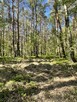 Działki na sprzedaż – Ciemne k. Radzymina - 8