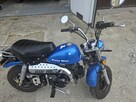 andin100@wp.pl