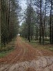 Działka jezioro witoczno/Swornegacie - 3