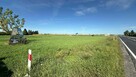 MIŁOSŁAW | DK15 | GOTOWY GRUNT POD INWESTYCJĘ - 7