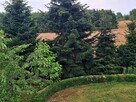 Sprzedam siedlisko w gminie Zamość, powiat Zamość - 11
