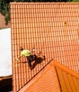 Malowanie dachów, elewacji wolne terminy - 3