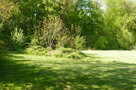 Działka przy lesie/ Park Krajobrazowy/dom lub inwestycja - 4