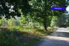 Działka Skierdy - 5