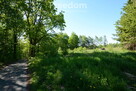 Działka budowlana z lasem - 2