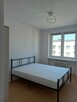 2 pokojowe | 48,7 m² | Balkon | Piwnica | Po remoncie | - 8