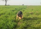 Yy? Że jak? Że Sara jeszcze nie ma domku? Kto ją pokocha? - 5