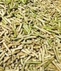 Kombajn mobilny do produkcji agropelletu z biomasy. - 13