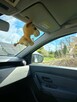 Sprzedam samochód marki Dacia Duster. - 10