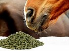 Kombajn mobilny do produkcji agropelletu z biomasy. - 11